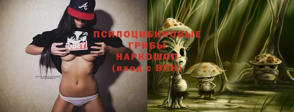сатива Вязники