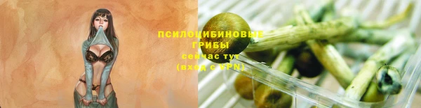 сатива Вязники