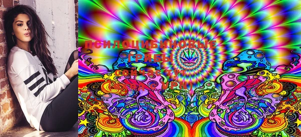 ECSTASY Вязьма