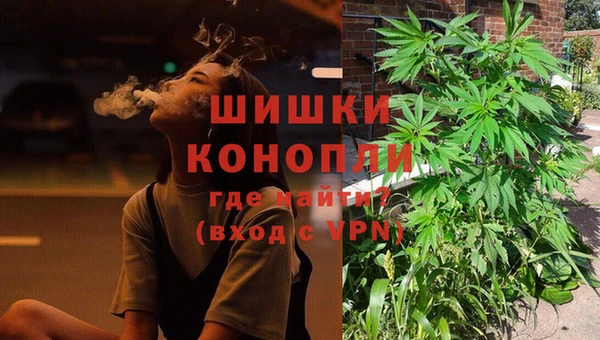 сатива Вязники