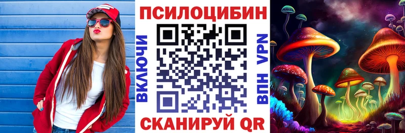 Псилоцибиновые грибы ЛСД  Купить закладки  Елец 